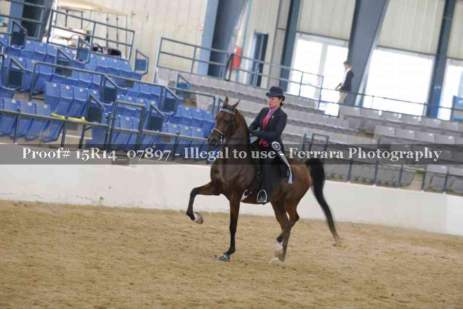 Proof 15R14_07897