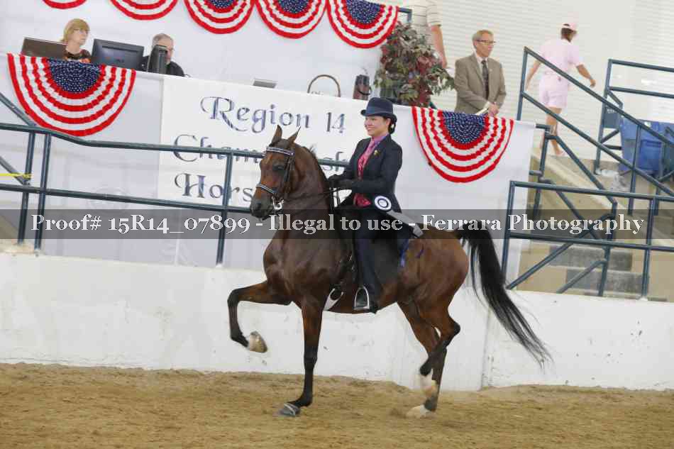 Proof 15R14_07899