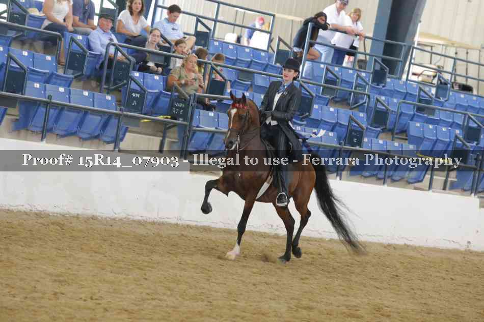 Proof 15R14_07903