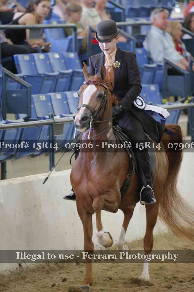 Proof 15R14_07906