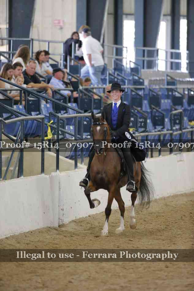 Proof 15R14_07907