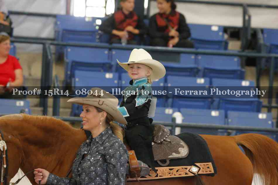 Proof 15R14_08044