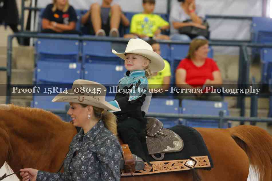 Proof 15R14_08045