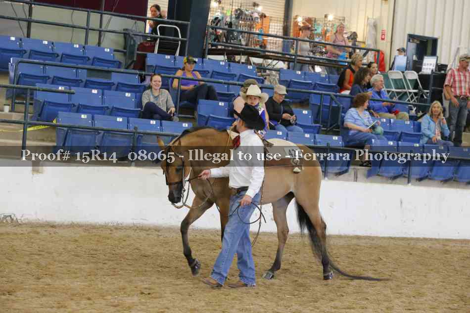 Proof 15R14_08065