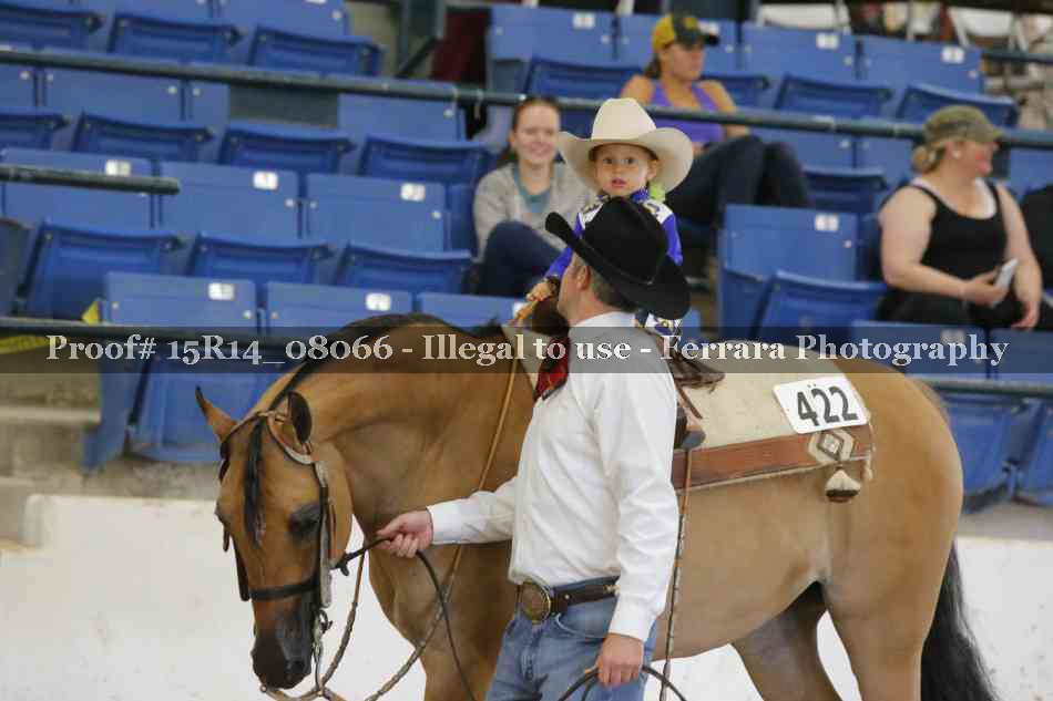 Proof 15R14_08066