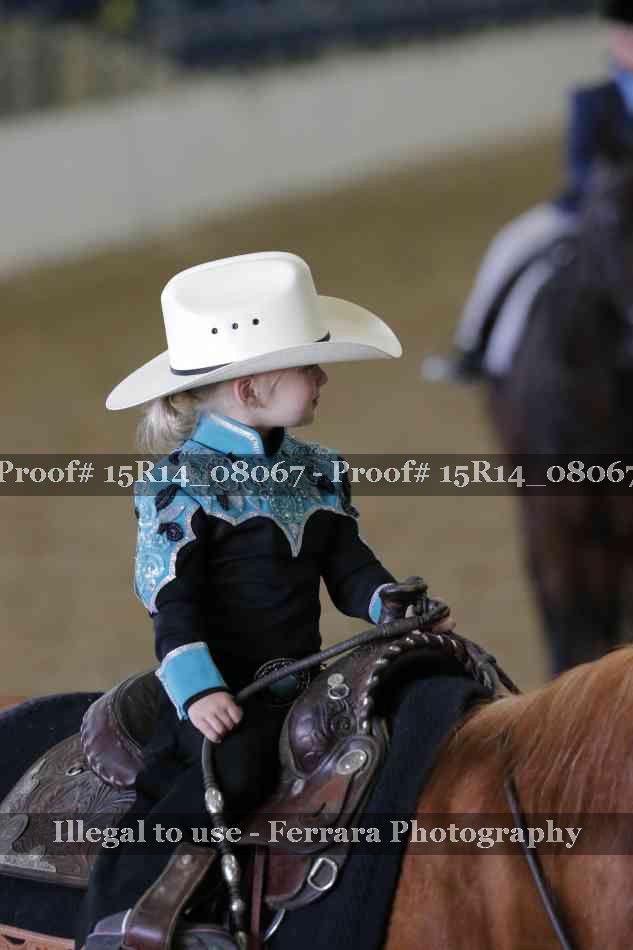 Proof 15R14_08067