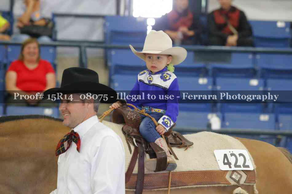 Proof 15R14_08075