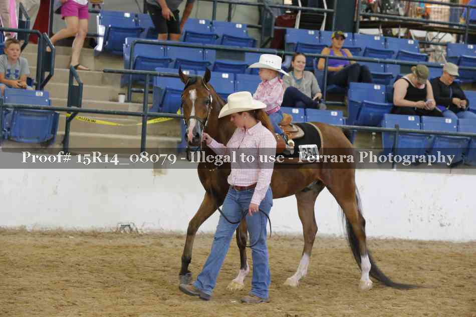 Proof 15R14_08079