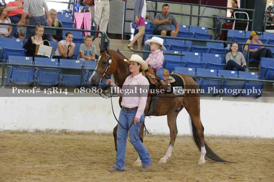 Proof 15R14_08080