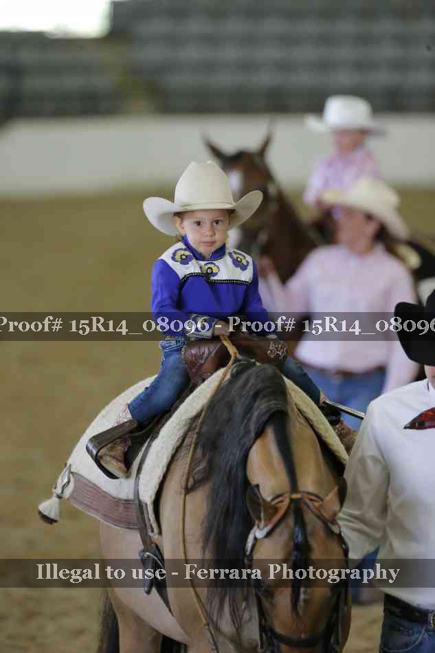 Proof 15R14_08096