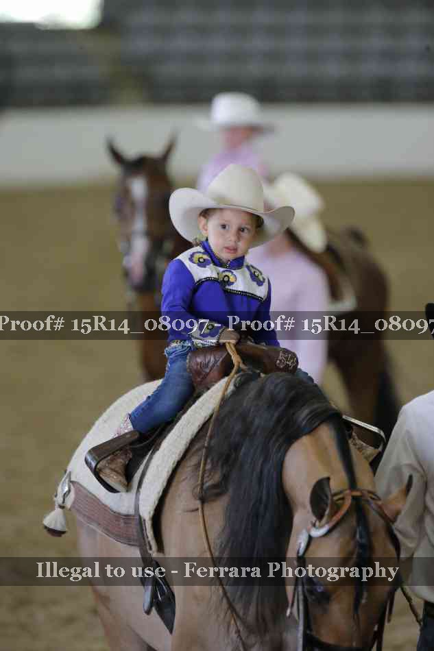 Proof 15R14_08097