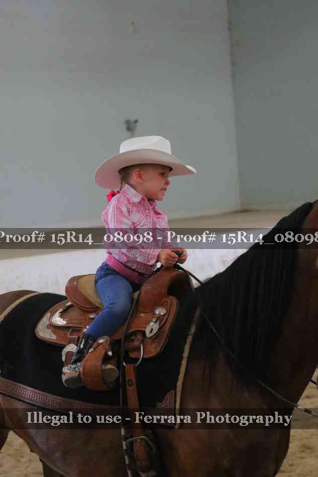 Proof 15R14_08098