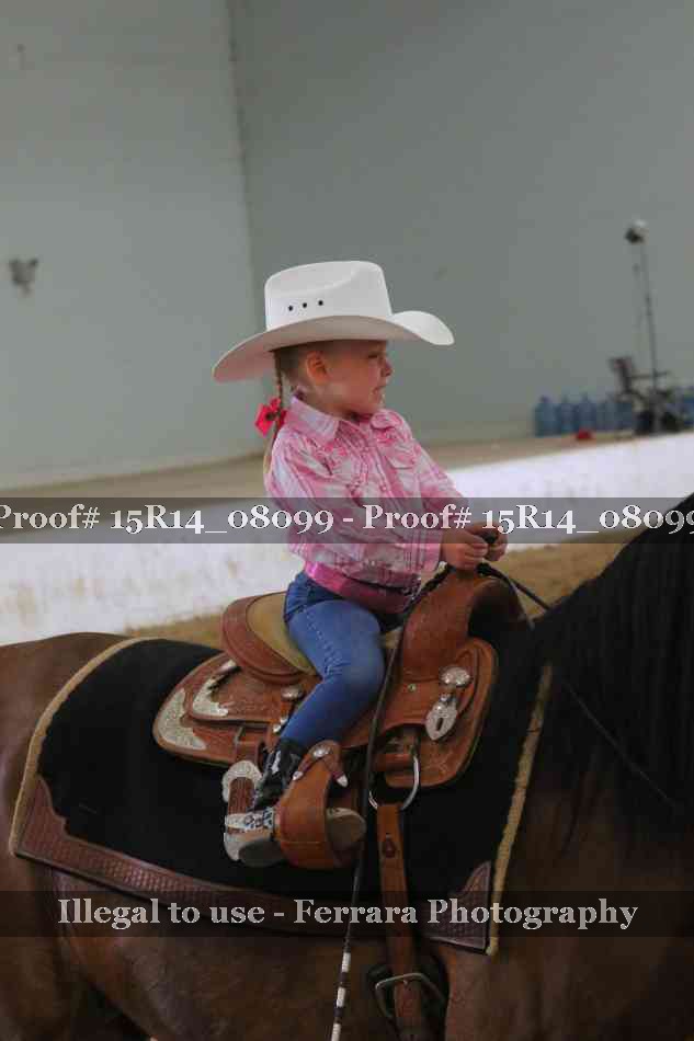 Proof 15R14_08099