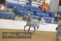 15R14_08252 proof