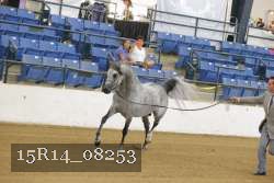 15R14_08253 proof