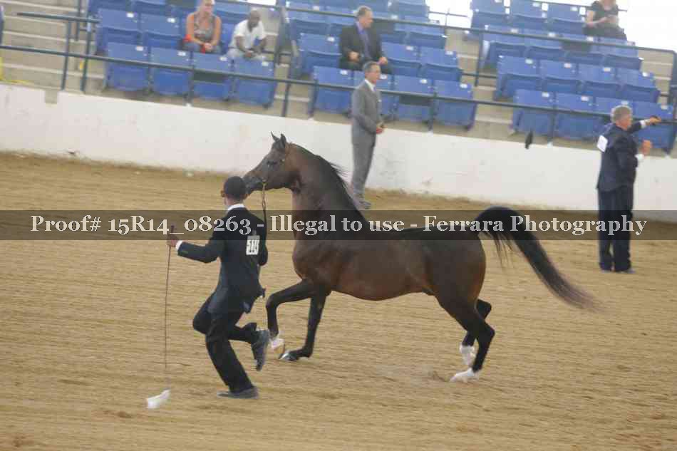Proof 15R14_08263