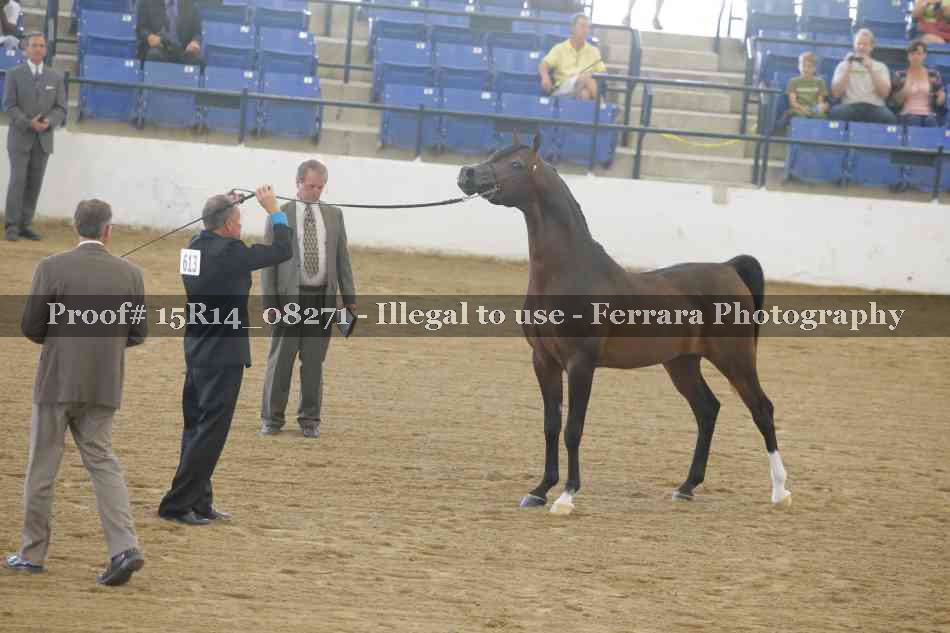 Proof 15R14_08271