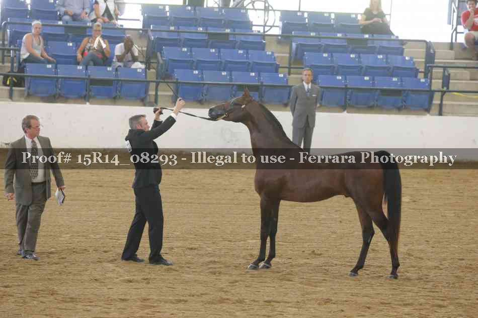 Proof 15R14_08293