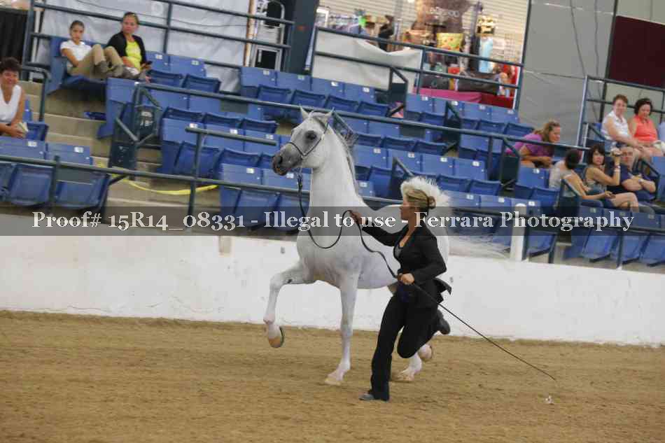 Proof 15R14_08331