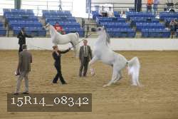 15R14_08342 proof
