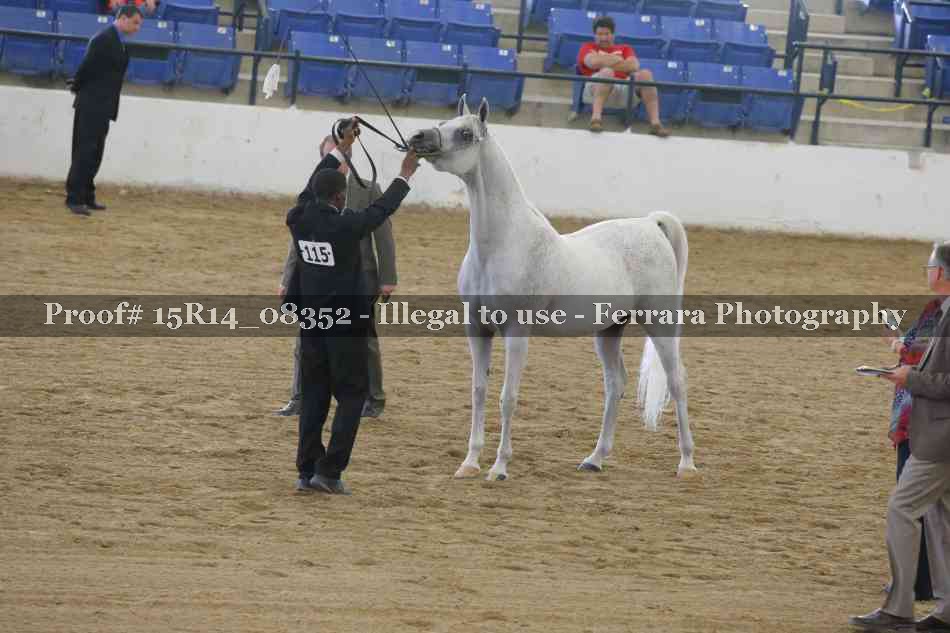 Proof 15R14_08352