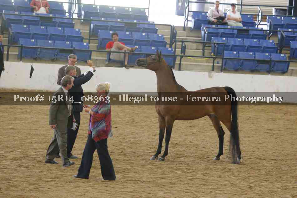 Proof 15R14_08363