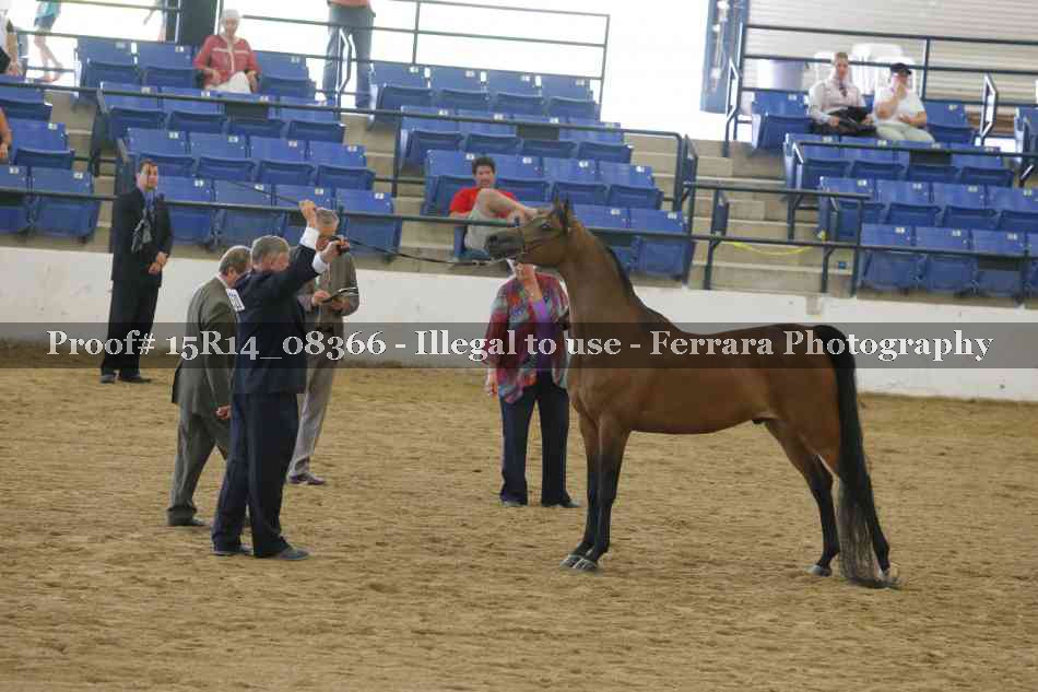 Proof 15R14_08366