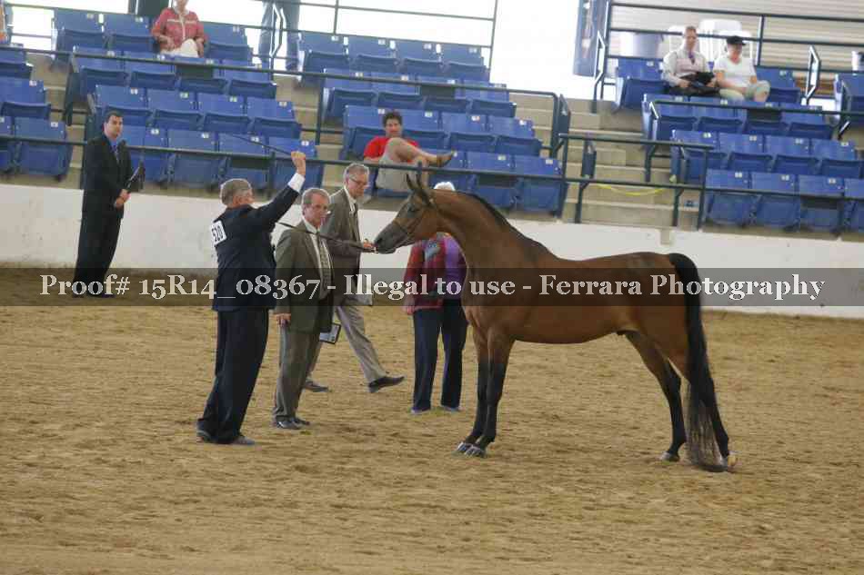Proof 15R14_08367