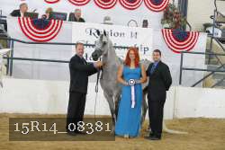 15R14_08381 proof