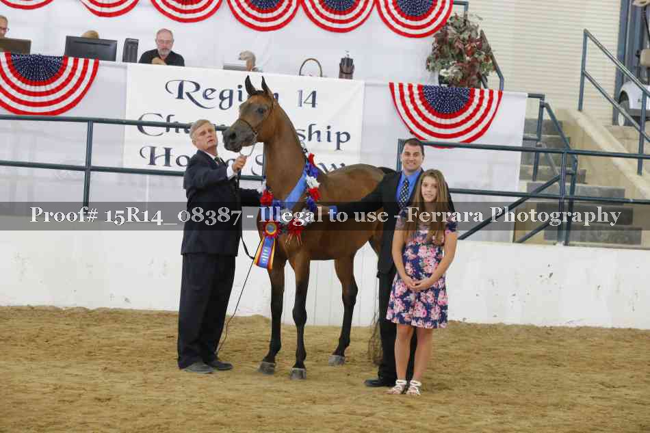 Proof 15R14_08387