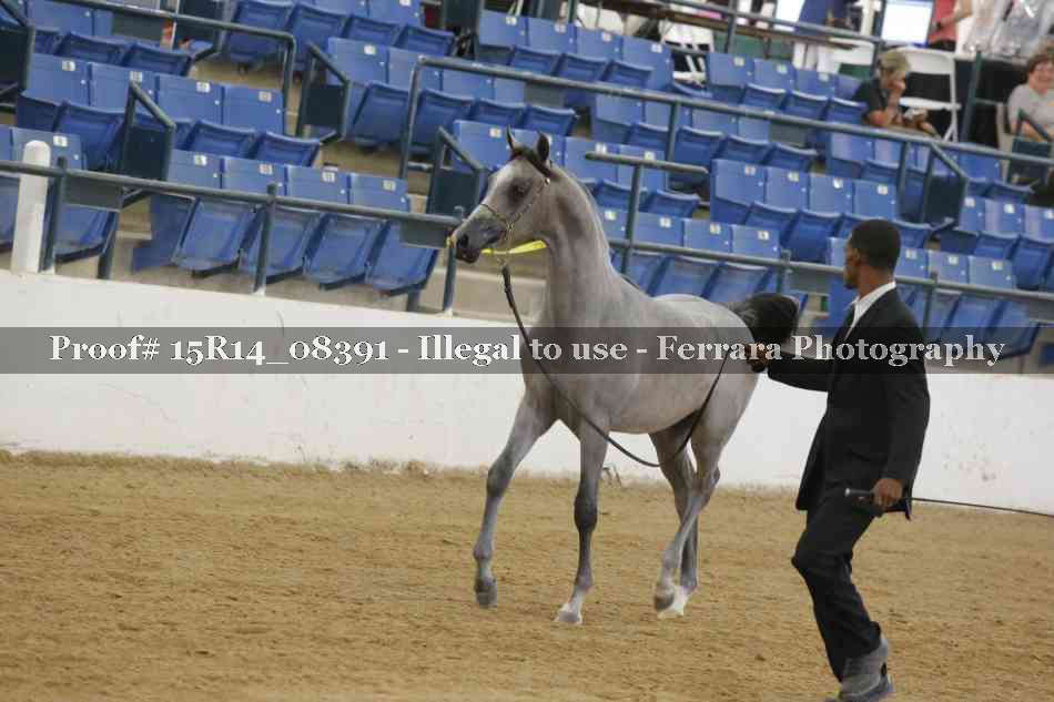 Proof 15R14_08391