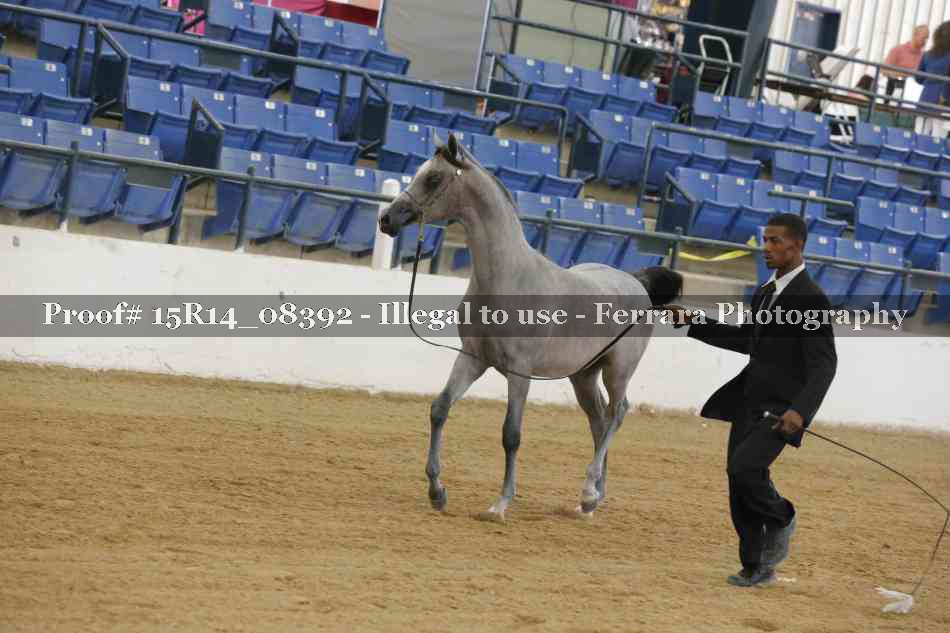 Proof 15R14_08392