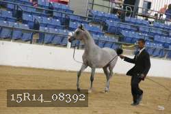 15R14_08392 proof