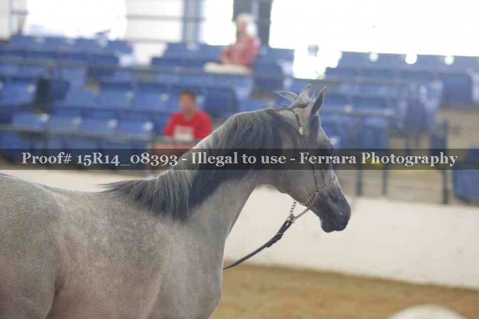 Proof 15R14_08393