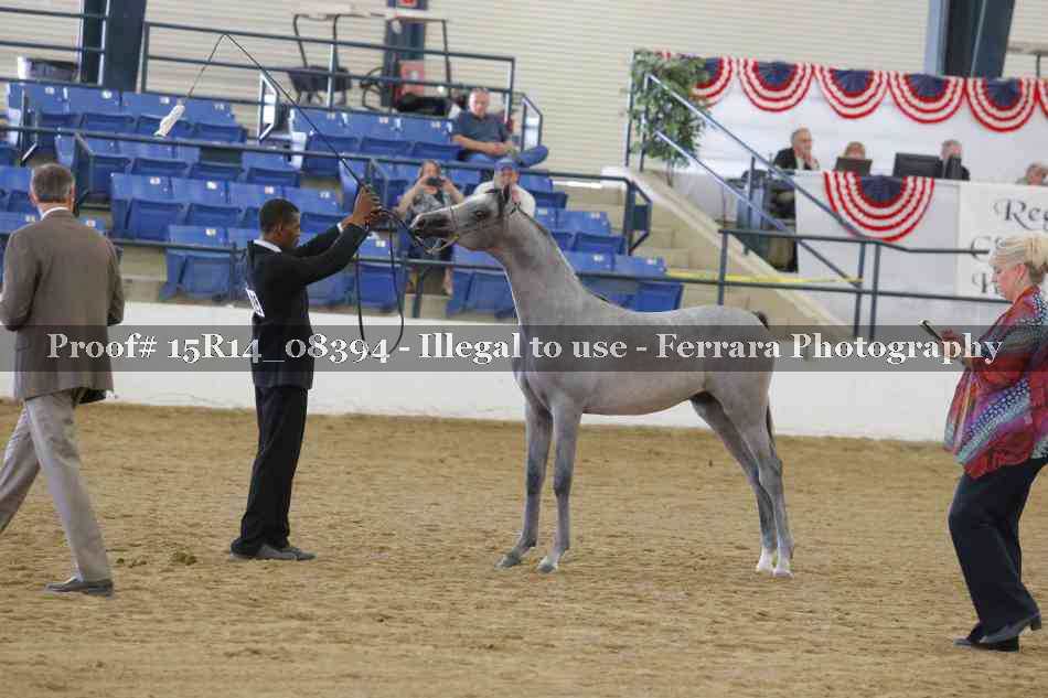 Proof 15R14_08394