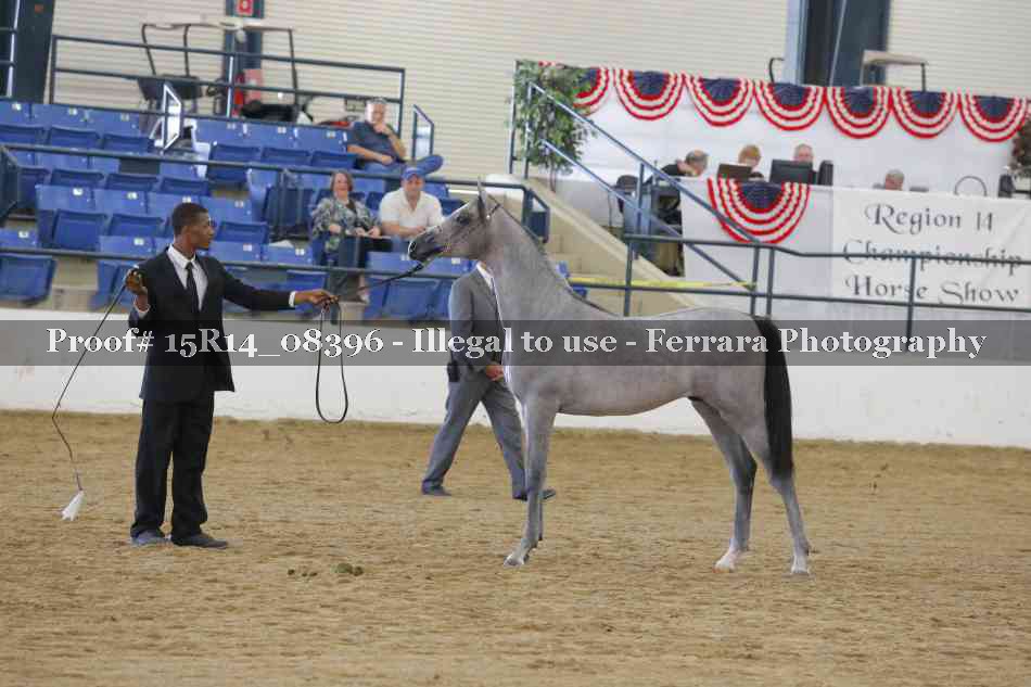 Proof 15R14_08396