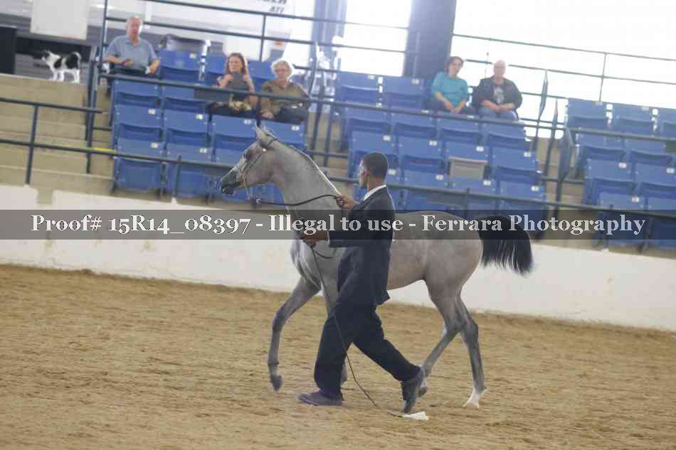 Proof 15R14_08397