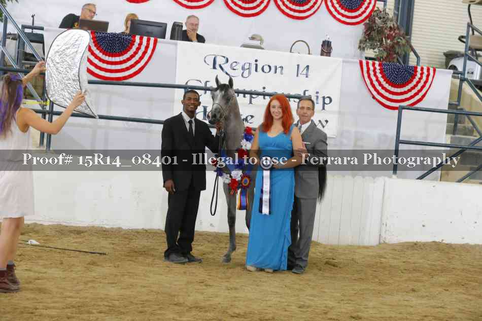 Proof 15R14_08401