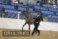 15R14_08403 proof