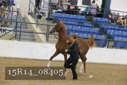 15R14_08405 proof