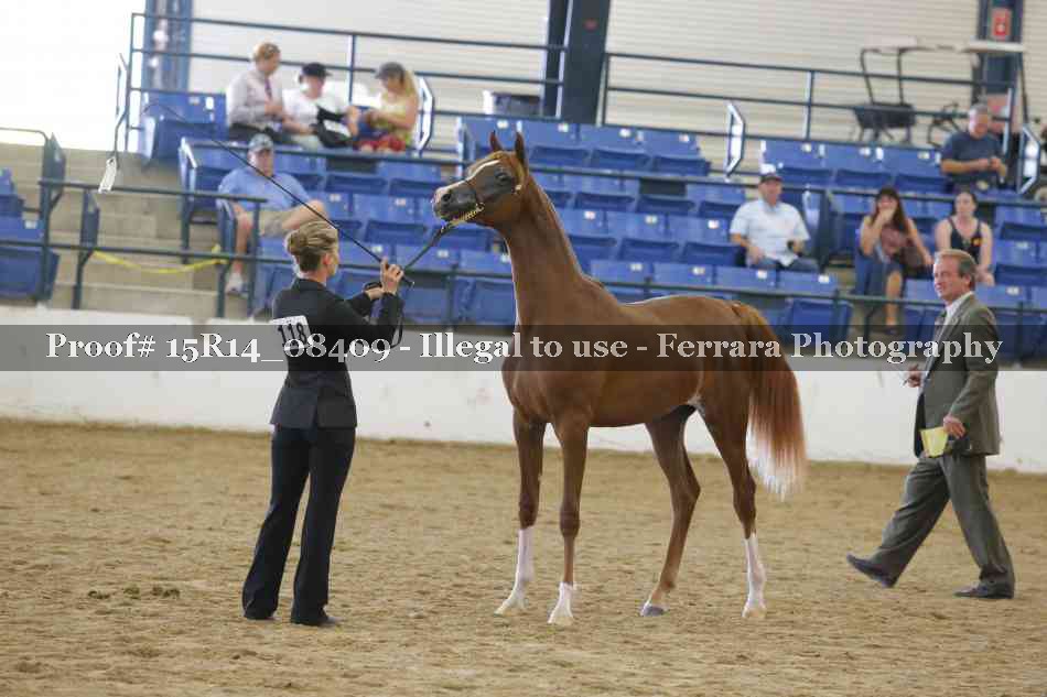 Proof 15R14_08409