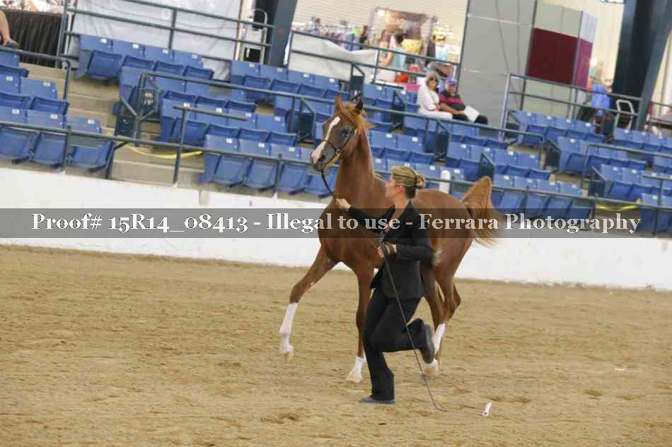 Proof 15R14_08413