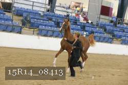 15R14_08413 proof