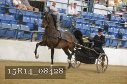 15R14_08428 proof