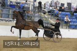 15R14_08429 proof