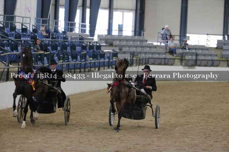 Proof 15R14_08433