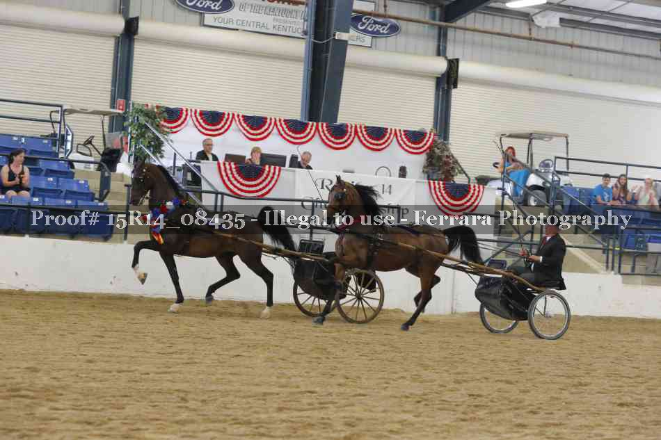 Proof 15R14_08435