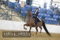 15R14_08554 proof