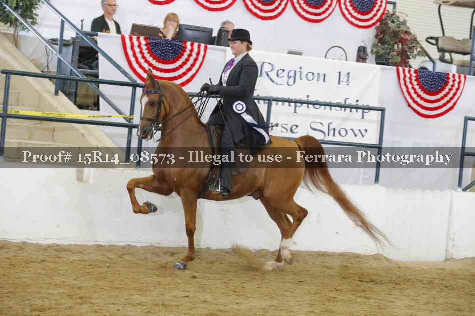 Proof 15R14_08573