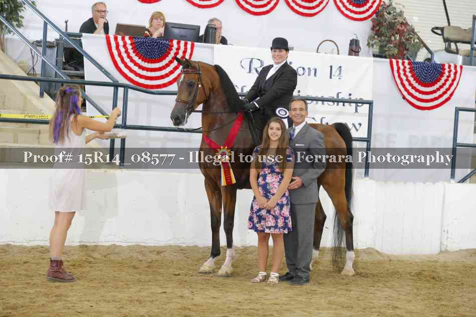 Proof 15R14_08577